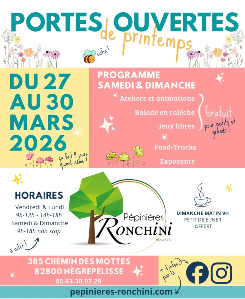 Stand de la librairie Les Fées des Livres avec sélection de livres sur les plantes et bijoux artisanaux.